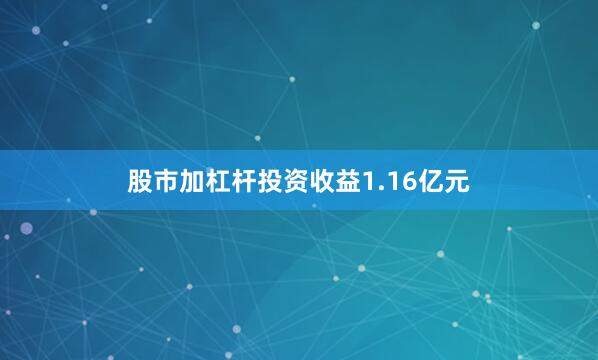 股市加杠杆投资收益1.16亿元