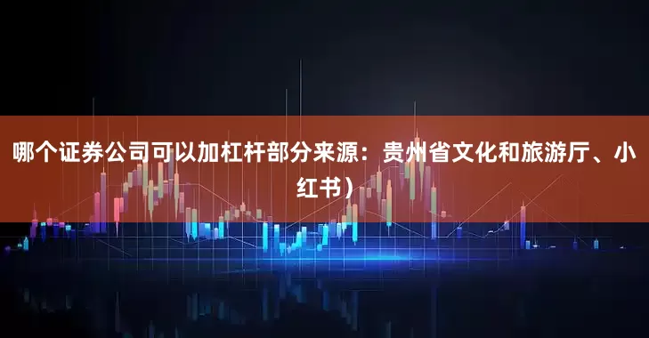 哪个证券公司可以加杠杆部分来源：贵州省文化和旅游厅、小红书）