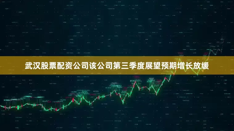 武汉股票配资公司该公司第三季度展望预期增长放缓