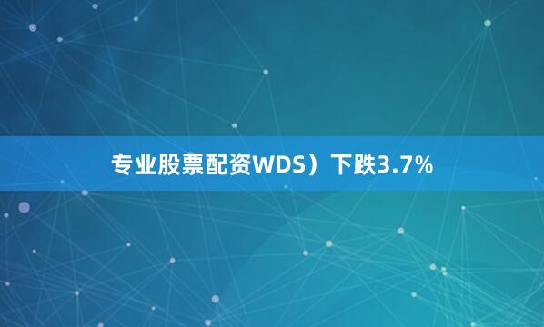 专业股票配资WDS）下跌3.7%